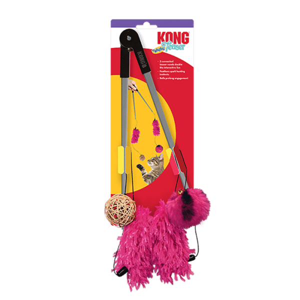 KONG TEASER TWEEZERZ ASSORTED