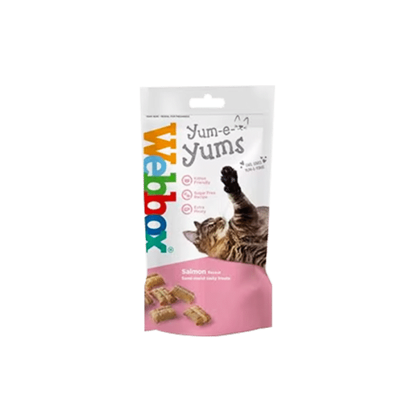 WEBBOX YUM-E-YUMS SEMI MOIST TREATS SALMON