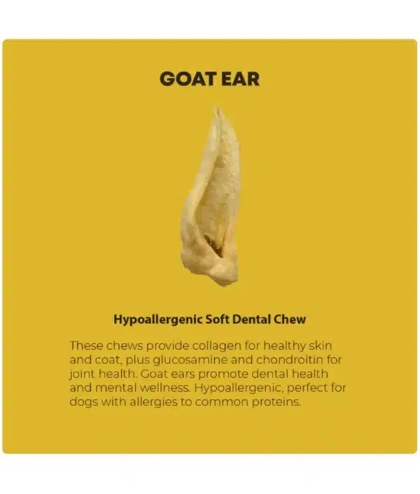 NUFF GOAT EARS HYPOALLERGENIC 2PCS - Image 2