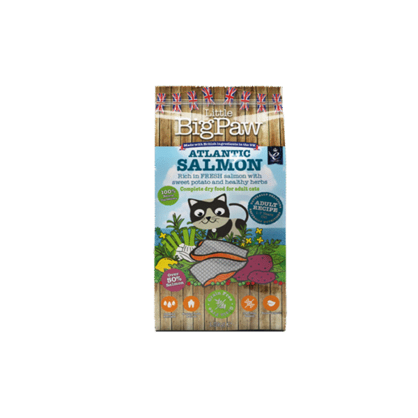 BIG PAW ADULT ATLANTIC SALMON 1.5KG
