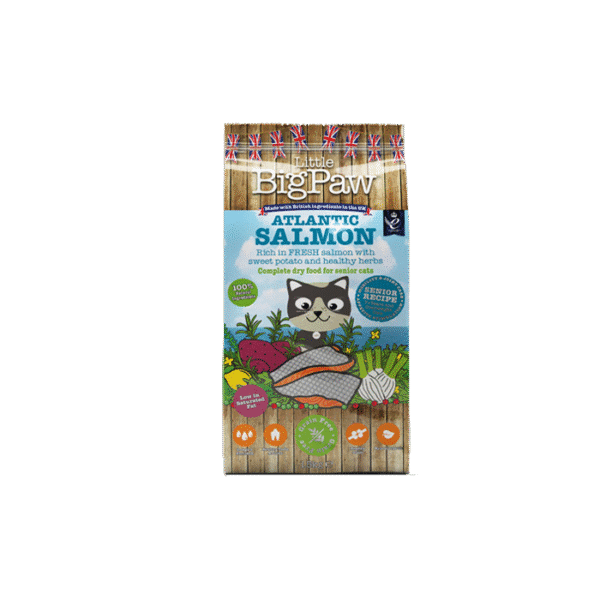 BIG PAW SENIOR ATLANTIC SALMON 1.5KG