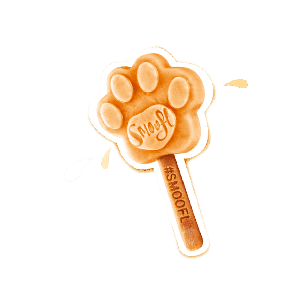 SMOOFL ICE CREAM MIX CARAMEL 160G - Image 3