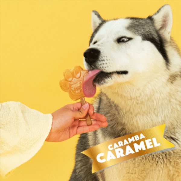 SMOOFL ICE CREAM MIX CARAMEL 160G - Image 4