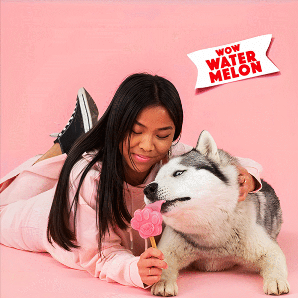 SMOOFL ICE CREAM MIX WATERMELON 160G - Image 3