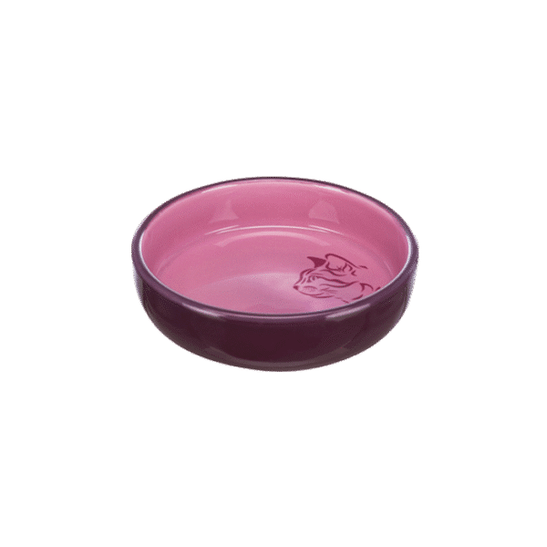 TRIXIE FLAT CERAMIC BOWL