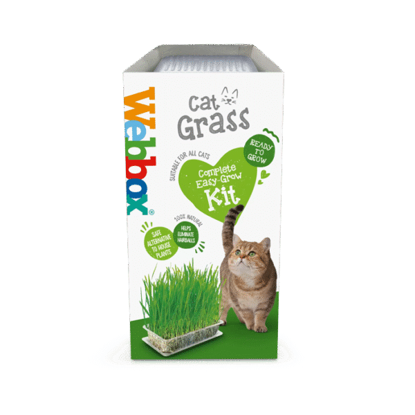 WEBBOX ADULT GRASS 120G