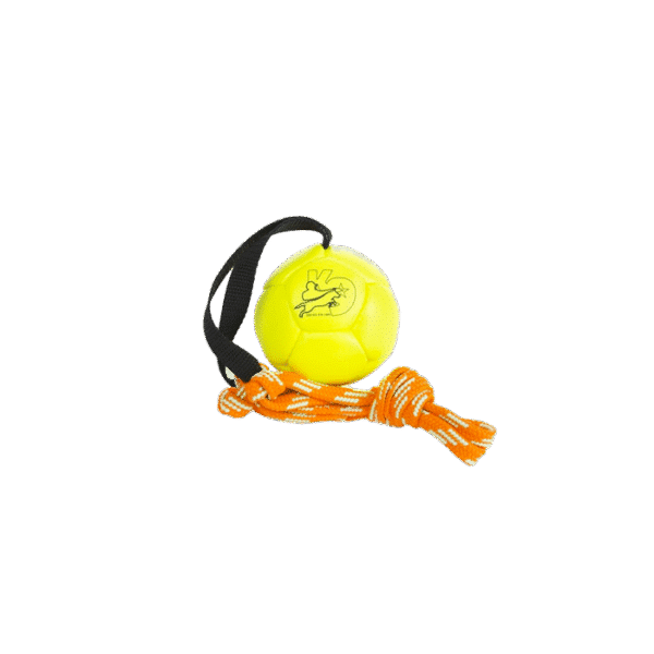 JULIUS K9 SHOW TRAINING BALL