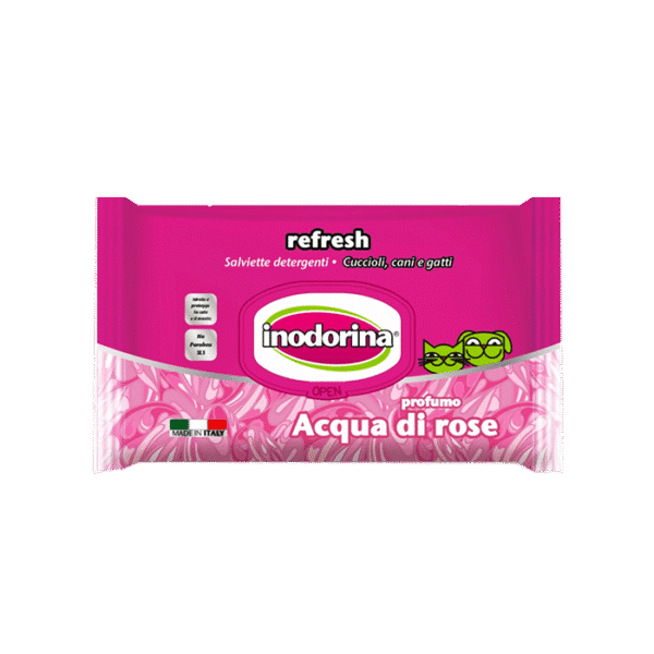 INODORINA SALVIETTE CLEANING WIPES ALOE VERA  110 SHEETS