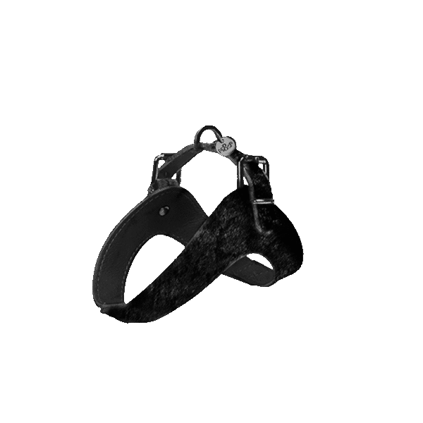 MILK & PEPPER TROCADERO HARNESS BLACK SMALL