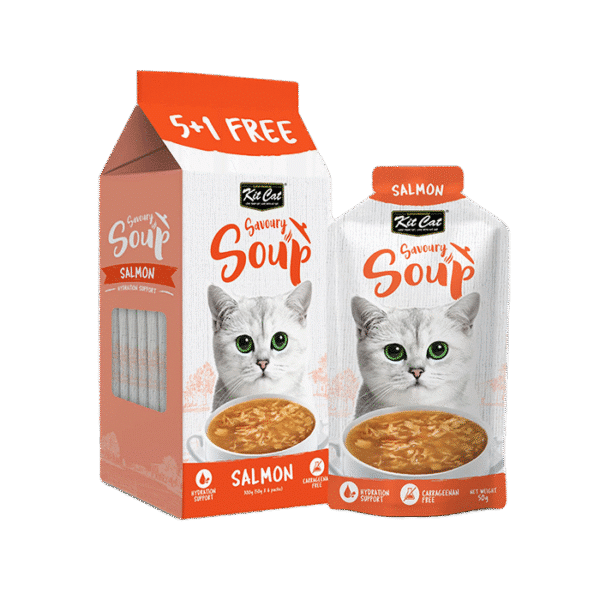 KITCAT SAVOURY SOUP SALMON 300G 6X50G